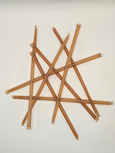 Broncosol Plus Sticks